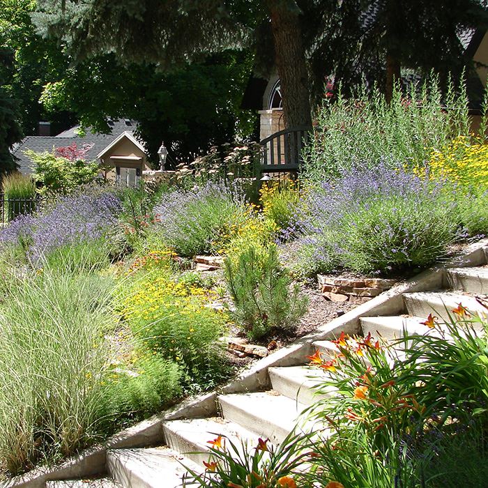 Las Vegas Landscapers | VanDorne Landscape and Design